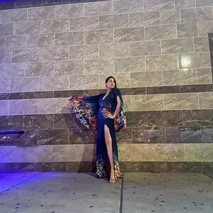 Dress wore once